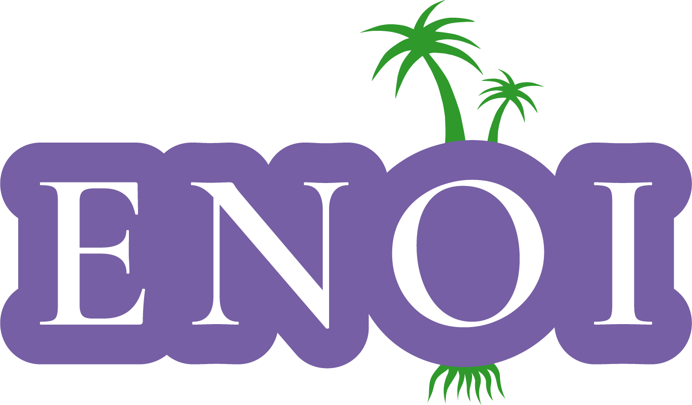 Logo ENOI